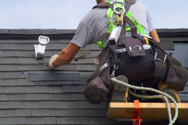 Best Gutter Installation and Roofing  in Genola, UT